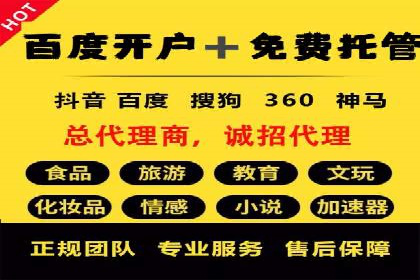 提升转化率：SEM竞价专员的案例研究